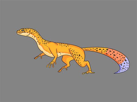 Meet The Raptor Gecko Leopard Raptor Gecko Raptor Rleopardgeckos