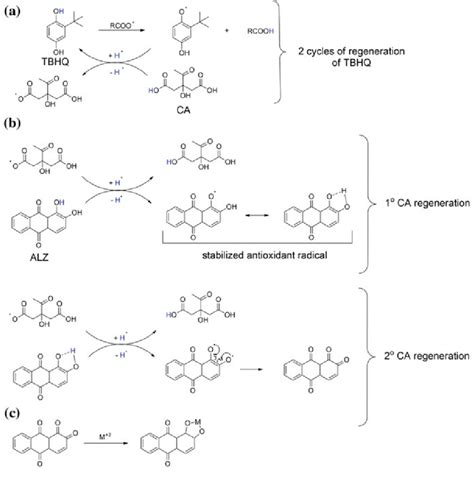 General Schematic Mechanisms For The Synergistic Interaction Between