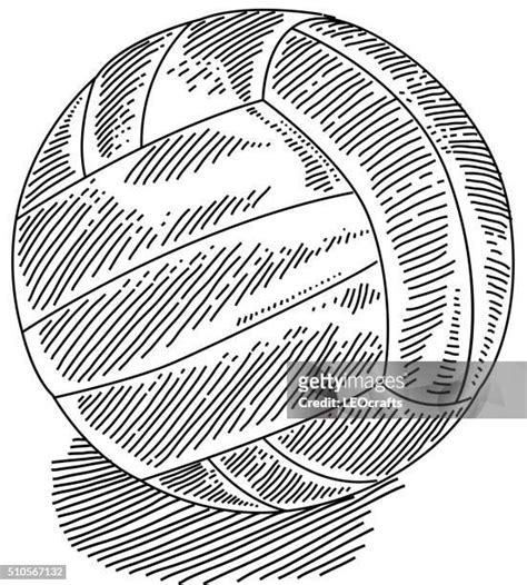 2769 Sports Volleyball Drawing Stock Photos High Res Pictures And
