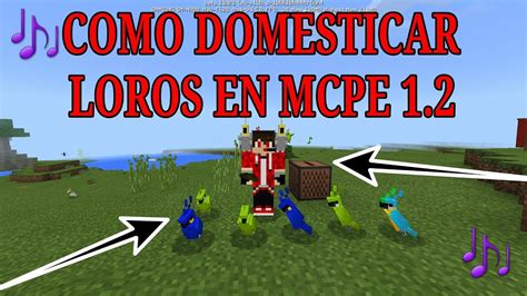 Como Domesticar Loros En Minecraft Pe 12 Beta Secretos De Los Loros