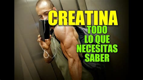 Que Es La Creatina Para Que Sirve La Creatina Beneficios