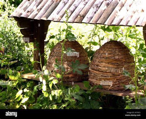 Two Bee Hives Cambridge University Botanic Gardens Stock Photo Alamy