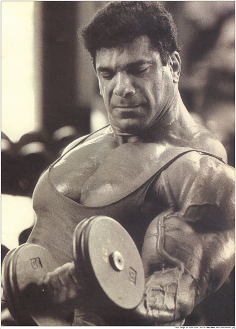 Лу Ферриньо (Lou Ferrigno), фотографии, биография, соревнования ...