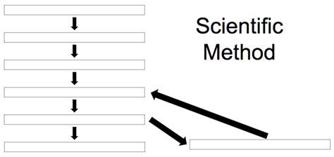 Scientific Method Diagram | Quizlet