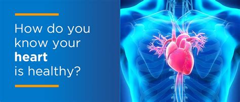 How To Know Your Heart Is Healthy Columbia University Irving Medical Center