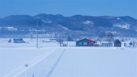 北海道去看全世界最美的雪 知乎