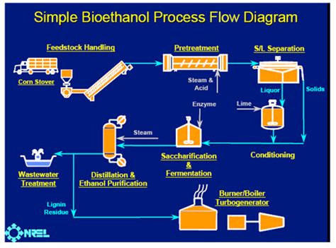 Ethanol Fermentation Process