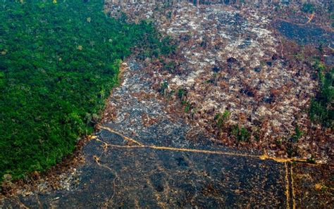 Deforestation Intensifies Warming in the Amazon Rain Forest ...