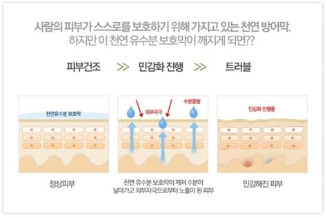 피부관리 천연 유수분 보호막으로 피부트러블 예방하자 네이버 블로그