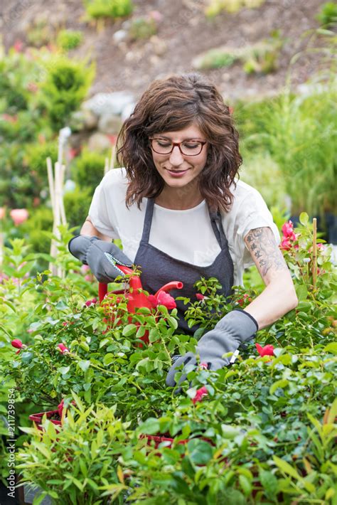 L Chelnde G Rtnerin Beim Gie En Der Roten Rosen In Der G Rtnerei Stock