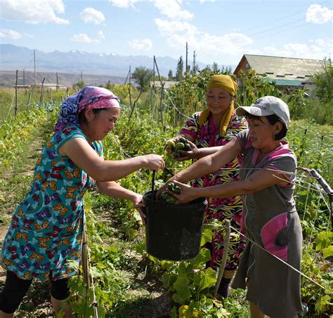 The Status Of Women In Agrifood Systems