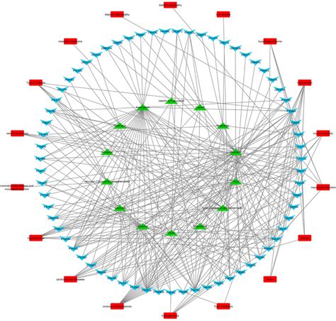 Compound Target Disease Network Green Triangles Compounds Blue