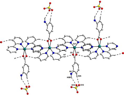 Hydrogen Bonding Pattern In Zn 3 Aba 2 2 Bpy 2 ClO4 H2O 1