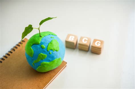 Bcg Concept For Sustainable Economic Development Bio Economy Circular