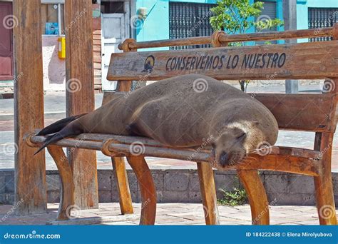 San Cristobal, Galapagos, Ecuador November 25, 2018: Boat In The Harbor ...