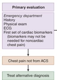 Emed Cardiology Flashcards Quizlet