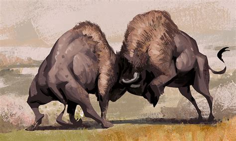 Bison Fighting by AlexAlexandrov on DeviantArt