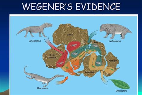 Alfred Wegener Science Exploration And The Theory Of Continental