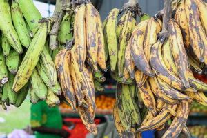 Banane Plantain Kg Derniers Prix Connus Dans Les Villes De C Te D