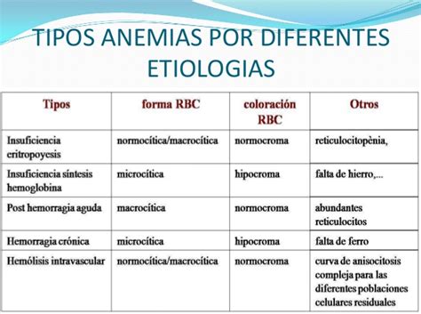 Anemia Y Leucemia Causas S Ntomas Diferencias Y M S