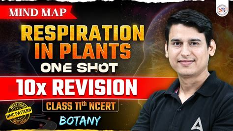 Respiration In Plants Class One Shot Mind Map Neet Botany