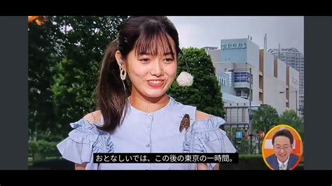 めざましテレビ放送事故 セミ捕まえる谷尻萌お天気キャスター Youtube