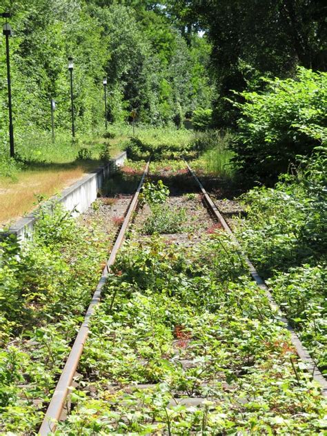 Abandoned Railway Tracks Are Overgrown With Grass And Trees Stock