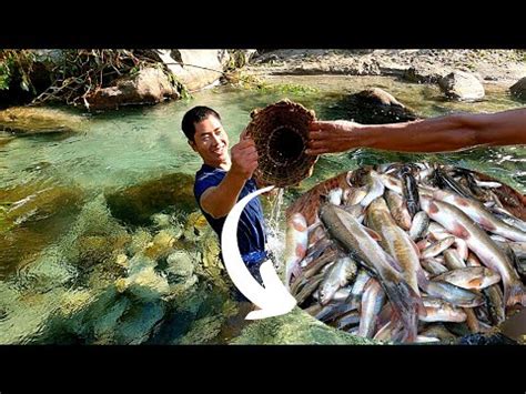 Langpam Amazing Tribal Fishing Technique Of Arunachal Pradesh In