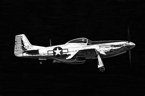 Midnight Mustang Photograph By Jon Berry Fine Art America
