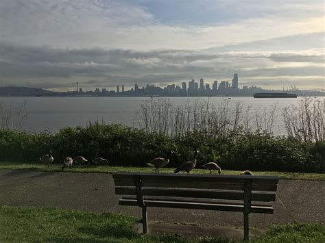Beautiful day for a ride downtown on the West Seattle Water Taxi.