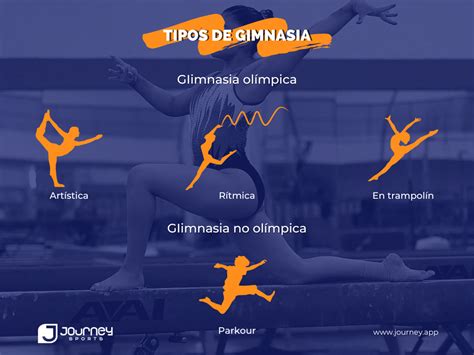 Descubrir Imagen Tipos De Gimnasia Y Sus Caracteristicas Viaterra Mx