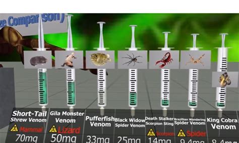 Reigarw Comparisons Reveal Lethal Doses Of Substances