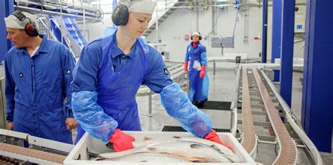 Norway salmon prices rise ahead of Christmas | IntraFish.com