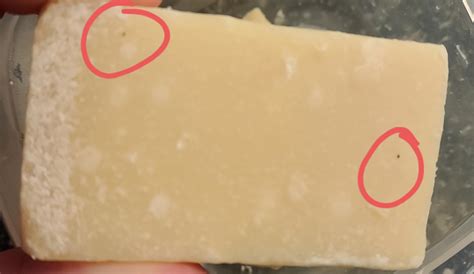 Should Parmesan Cheese Have Mold At Annie Vandiver Blog