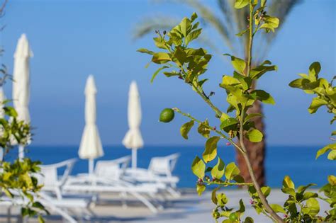King Evelthon Beach Hotel And Resort Paphos