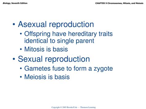 PPT - Chromosomes, Mitosis, and Meiosis PowerPoint Presentation, free download - ID:9351116