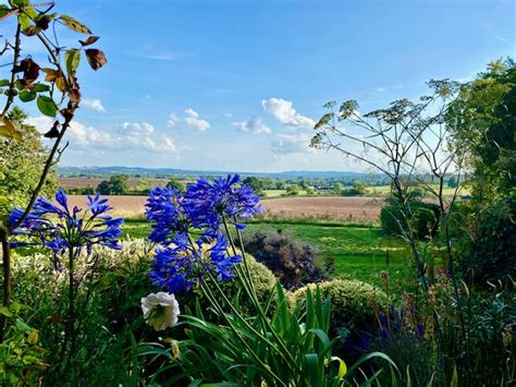 How To Choose Your Funeral Celebrant For A Meaningful Ceremony