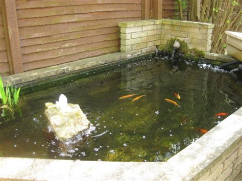 Backyard Landscaping Ideas To Inspire You Backyard Goldfish Pond