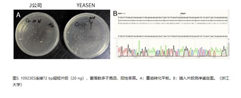 涨知识 克隆专题八：一步法快速克隆faq——常见问题解答 技术前沿 资讯 生物在线