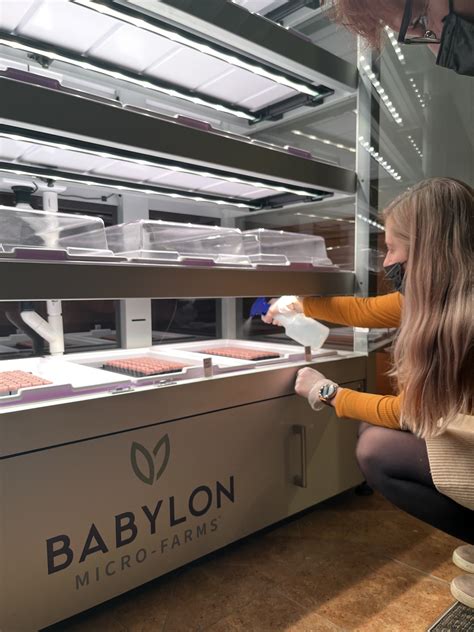 "Micro farm" to bring fresh greens to Nazareth University