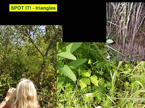 Mad Gardeners Invasive Species Task Force