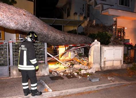 Romagna Devastata Dalle Raffiche Di Vento Alberi Crollati Su Case