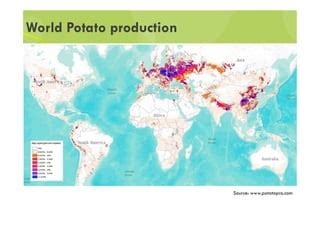 Potato Seed Production Systems Ppt