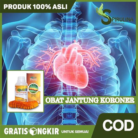 Jual Obat Jantung Koroner Jantung Bocor Serangan Jantung Qnc Jelly