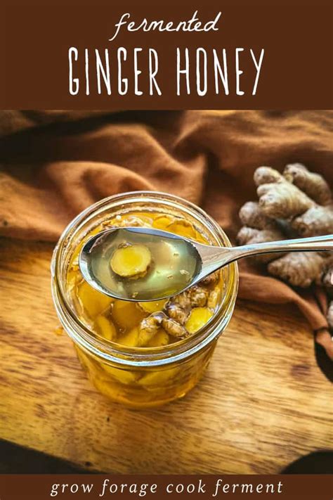 Fermented Ginger Honey