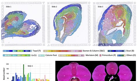 Spatial Transcriptomics Publications Youll Want To Read Edition