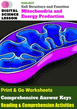 Mitochondria and Energy Production by Digital Science Lesson | TPT