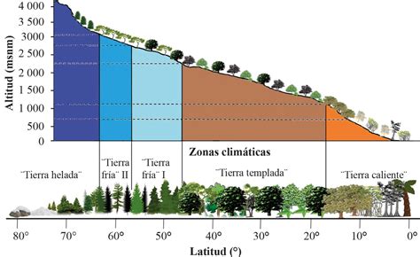 Monta As C Mo Se Definen Y Su Importancia Para La Biodiversidad Y La