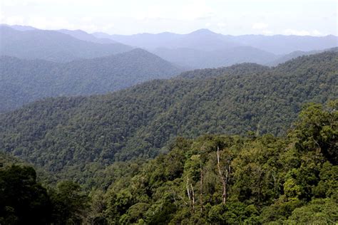 Hutan Aceh Rusak Dua Lokasi Ini Terus Dirambah