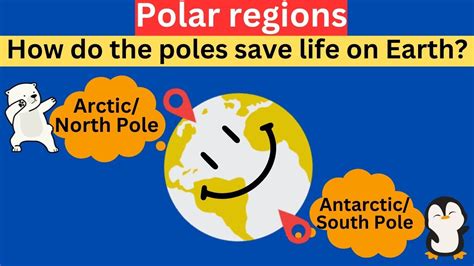 Polar Regions Arctic Vs Antarctic North Pole Vs South Pole Arctic